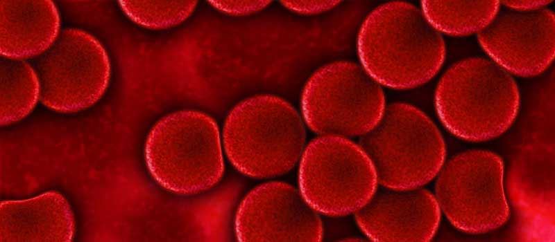 Anemia de fier - simptom al intolerantei la gluten
